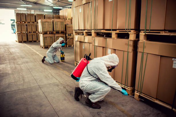 Best Mosquito Control Services  in Bellefontaine, OH