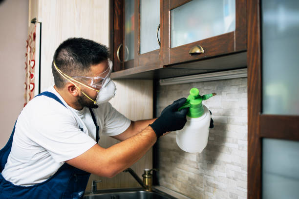 Best Commercial Pest Control Services  in Bellefontaine, OH