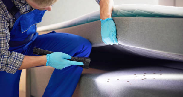Professional Pest Control in Bellefontaine, OH