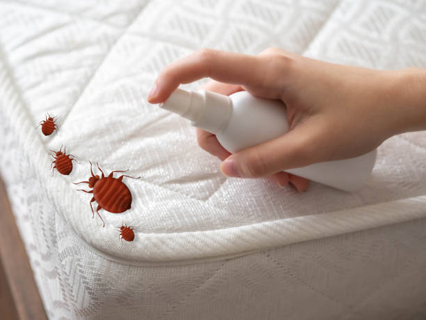 Best Pest Inspection Near Me  in Bellefontaine, OH