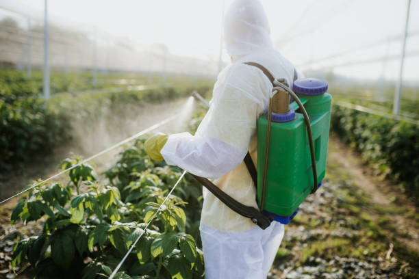 Best Bed Bug Extermination  in Bellefontaine, OH